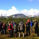 Vandra i Åre