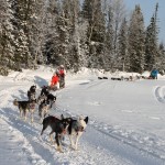 hundspannsturer i Åre